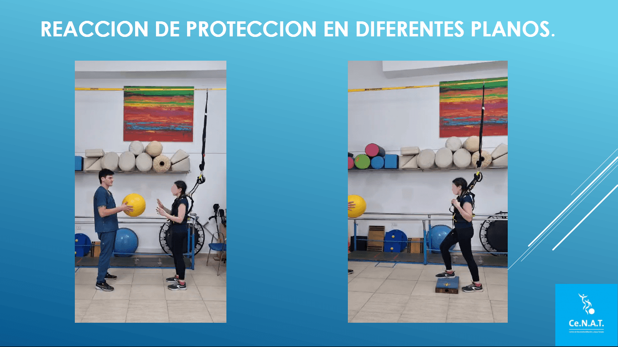 ejercicio con arnés en diferentes planos